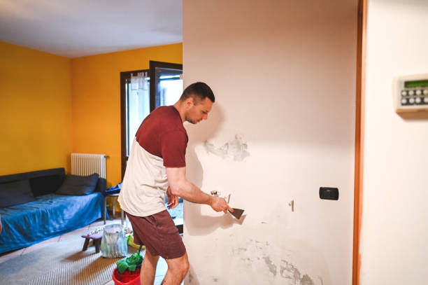 Best Crawl Space Mold Removal  in Bolindale, OH